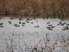 DSCN2918.JPG