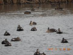 DSCN2925.JPG