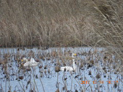 DSCN2991.JPG