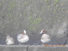 DSCN2959.JPG
