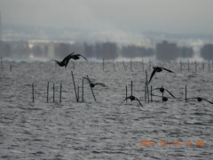 DSCN2962.JPG