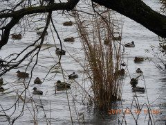 DSCN2968.JPG