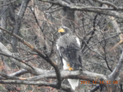 DSCN2973.JPG