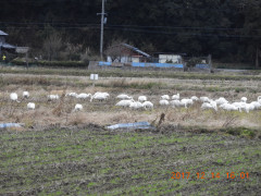 DSCN2988.JPG