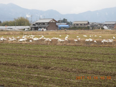 DSCN3006.JPG