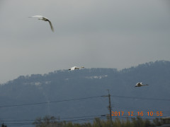 DSCN3010.JPG