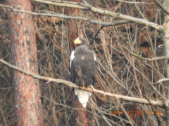 DSCN3042.JPG