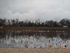 DSCN3067.JPG