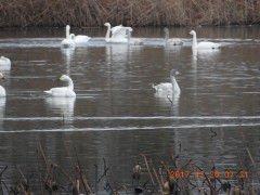 DSCN3068.JPG