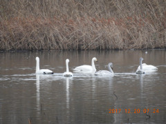 DSCN3072.JPG