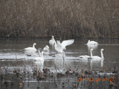 DSCN3074.JPG