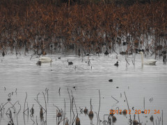 DSCN3076.JPG