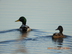 DSCN3079.JPG