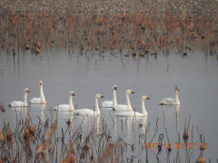 DSCN3095.JPG