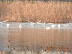 DSCN3099.JPG