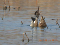 DSCN3128.JPG