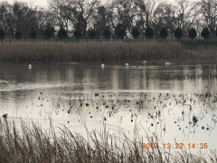 DSCN3158.JPG