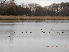 DSCN3170.JPG
