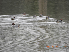 DSCN3178.JPG