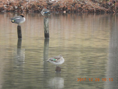 DSCN3176.JPG