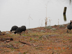 DSCN3172.JPG