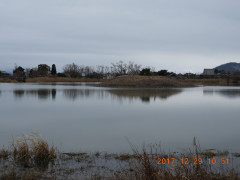 DSCN3182.JPG