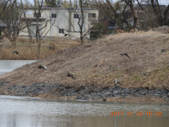 DSCN3181.JPG