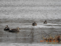 DSCN3185.JPG