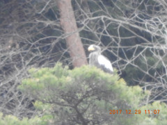DSCN3194.JPG