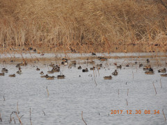 DSCN9983.JPG