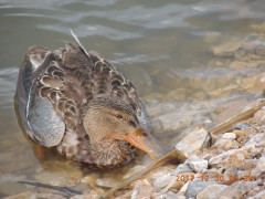 DSCN9989.JPG