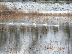 DSCN3316.JPG