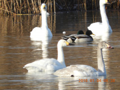 DSCN3211.JPG