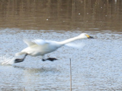RSCN3398.JPG