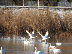 DSCN3235.JPG