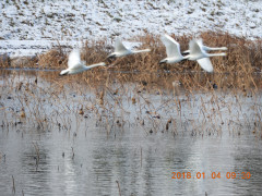DSCN3362.JPG