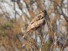 DSCN3201.JPG