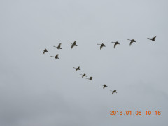 DSCN3532.JPG