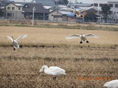 DSCN3432.JPG