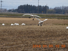 RSCN3563.JPG