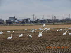 DSCN3458.JPG