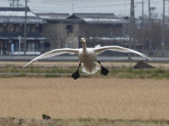 RSCN3569.JPG