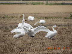DSCN3514.JPG