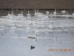 DSCN3673.JPG