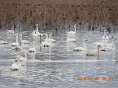 DSCN3671.JPG