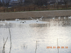 DSCN3690.JPG