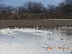 DSCN3679.JPG