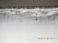 DSCN3720.JPG