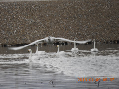 DSCN3714.JPG