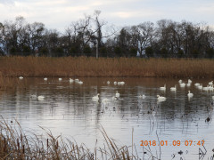 DSCN3608.JPG